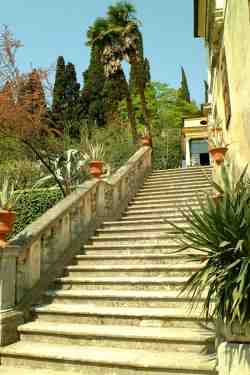 Lo scalone della villa con palme
